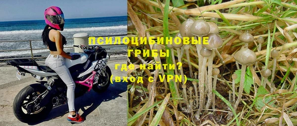 гашик Волоколамск