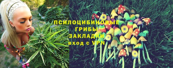 спиды Верхний Тагил