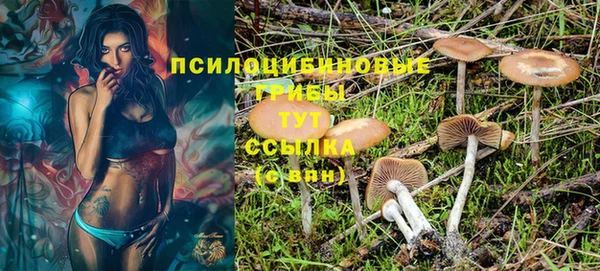 гашик Волоколамск