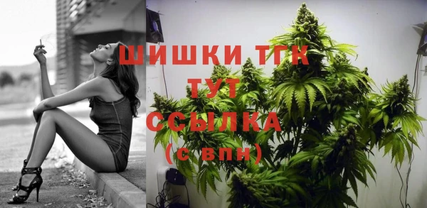 гашик Волоколамск